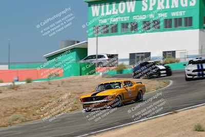 media/May-07-2022-Cobra Owners Club of America (Sat) [[e681d2ddb7]]/White/Session 1 (Turn 4)/